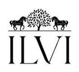 Ilvi